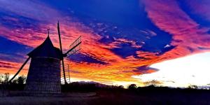 Appartements Pitaya : Appartement 1 Chambre