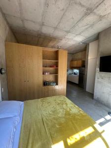 Stylish apartment in Chapultepec