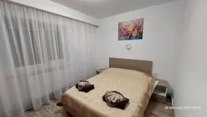 Targu Jiu Central Apartment - Copăceni