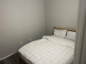 Basement Suite Near Edmonton Airport YEG - Leduc