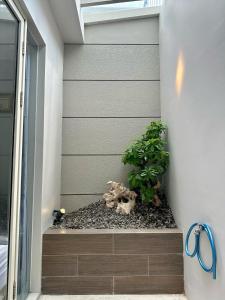 City side retreat Adelaide house