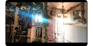 Casa Serenissima Holiday Home Roma Barbara Bonanno