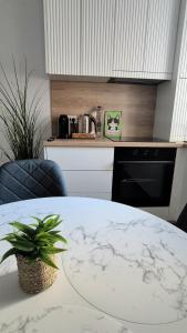 Scandi LOFT 93 Oradea ARED