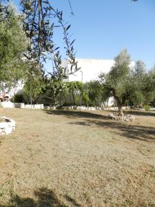 Aeolos Hotel Apartments Lakonia Greece