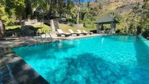 Ambady Estate - Munnar