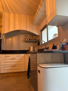 Maisons de vacances La Vigneronne : photos des chambres