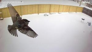 Fancy Hooch Close to Fort Sill Accepts Pets - Ubytování bez kategorie ve městě Lawton