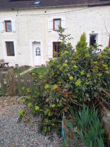 Maisons de vacances Les Papillons : photos des chambres