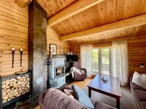 Traditional mountain cabin in Valdres - Aurdal