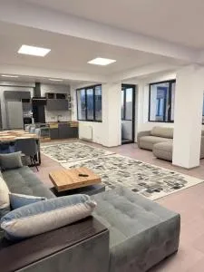 Apartament Mario - Bariera Vîlcii