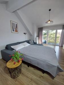 MR HOME APARTMENTS - Limba