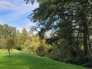 Haus am Eschenbach - 米特威茨