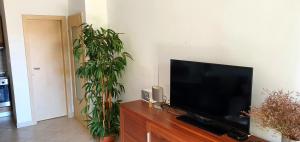 Apartma Sivi žako Novalja