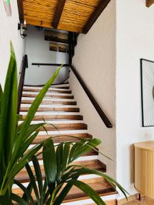 Zé Inácio - Alojamento e Restaurante