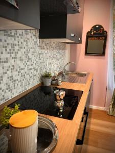 Elegant Apartments in the historic center