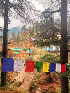 Tripperz Deluxe - Jibhi