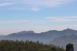 THE DEW stay Three bedroom villa