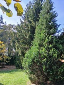 Planinska kucica Srce