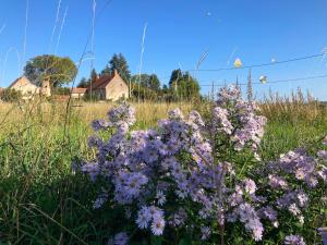 B&B / Chambres d'hotes La Vigne et le Chardon : photos des chambres