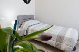 B&B Sibi