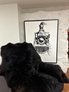 le sous sol du vétérans