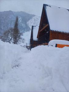 Panorama cottages Kazbegi