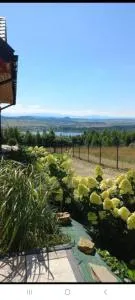 Domek na Hubce II - Frydman