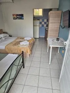 ΕΥΡΙΠΟΣ - 新安希亚洛斯