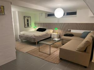 Large basement apartment in the middle of Odense - Ubytování bez kategorie ve městě Odense