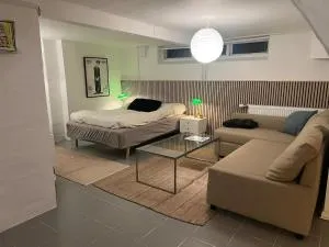 Large basement apartment in the middle of Odense - Blommenslyst