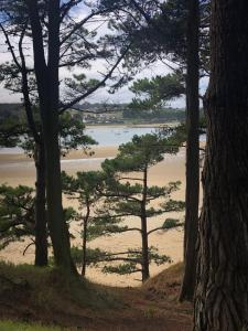 Maisons de vacances Maison Plestin proche plage et GR 34 avec Jardin : photos des chambres