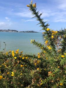 Maisons de vacances Maison Plestin proche plage et GR 34 avec Jardin : photos des chambres