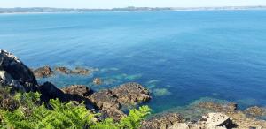 Maisons de vacances Maison Plestin proche plage et GR 34 avec Jardin : photos des chambres