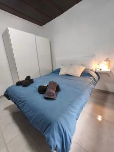 APARTAMENTOS MALPAÍS