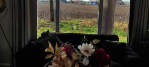 casa kwispel genieten met uw hond in de natuur