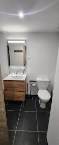 Appartements Studio mezzanine centre-ville : photos des chambres