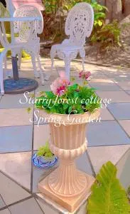 猫とピアノと星空のリゾートブティックコテージ -Starry Forest Cottage Okinawa- - Inbu