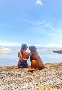 Mila Pet friendly holiday house with private place on the beach - Stan Trigraci