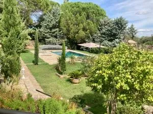 Le Mimosa des Cévennes - Tornac