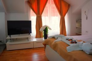 AMMOTTI Hotel