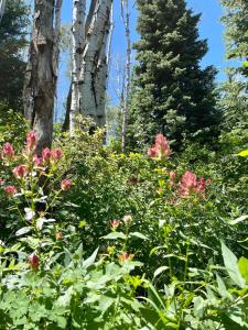 Deer Valley Empire Pass Slopeside Luxury Condo