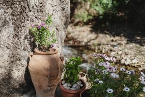 Mylos Nature Retreat