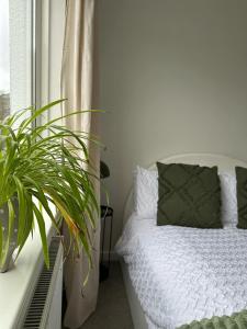 Cosy, central with parking - The Cornish Casa