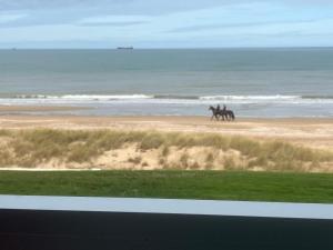 Appartements Seafront flat near Cabourg with free private parking : photos des chambres