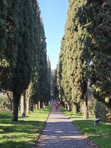 Two-Bedroom Apartment with Garden View