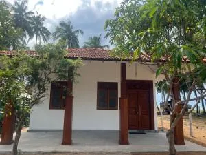 Palms and Pradise - Madampe