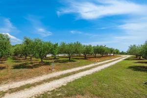 Holiday house Lera Rovinj, with football field, sauna, jacuzzi