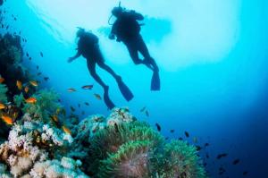 Mariposa - 1 Bedroom poolside apartment