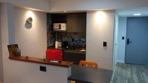 Monoambiente Centrico