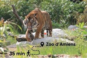 Appartements L Amiens Haussmann-Gare-Hortillonnages-Centre-ville-WIFI : photos des chambres